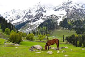 4 days Tour to Kashmir & Neelum Valley Taobut Tour